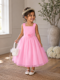 Dress with Gathered Tulle Bodice and Multi-Layer Tulle Skirt