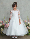 Girls Lace Dress With Sleeves and Tulle Skirt