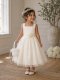 Dress with Gathered Tulle Bodice and Multi-Layer Tulle Skirt