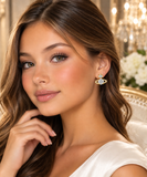Luxury Halo Crystal Earrings