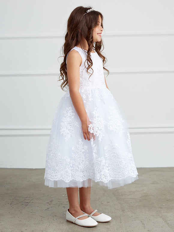 Dress with Metallic Lace Embroidery Overlayed on Tulle Skirt