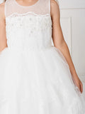 Elegant Illusion Neckline Dress with Lace Applique Peplum Skirt