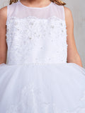 Elegant Illusion Neckline Dress with Lace Applique Peplum Skirt