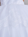 Elegant Illusion Neckline Dress with Lace Applique Peplum Skirt