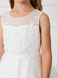 Illusion Neckline Dress with Lace Overlay