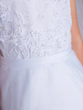 Illusion Neckline Dress with Lace Overlay