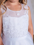 Illusion Neckline Dress with Lace Overlay