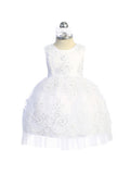 Dress With Metallic Lace Embroidery Overlayed on Tulle Skirt