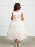 Dress with Metallic Lace Embroidery Overlayed on Tulle Skirt