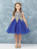 Stunning Short Dress with Floral Applique Bodice + Keyhole Back