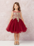 Stunning Short Dress with Floral Applique Bodice + Keyhole Back