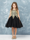 Stunning Short Dress with Floral Applique Bodice + Keyhole Back