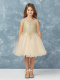 Stunning Short Dress with Floral Applique Bodice + Keyhole Back