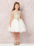 Stunning Short Dress with Floral Applique Bodice + Keyhole Back