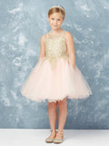 Stunning Short Dress with Floral Applique Bodice + Keyhole Back