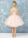 Stunning Short Dress with Floral Applique Bodice + Keyhole Back