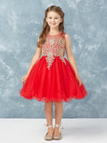 Stunning Short Dress with Floral Applique Bodice + Keyhole Back