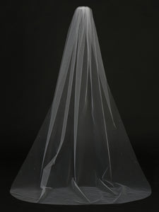 Womens Cathedral Length Veil with Scattered Rhinestone Accents