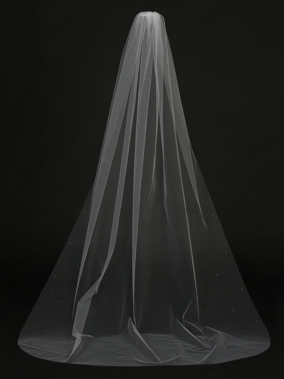 Womens Cathedral Length Veil with Scattered Rhinestone Accents