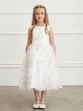 Dress with Metallic Lace Embroidery Overlayed on Tulle Skirt