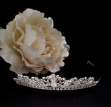 Dainty Crystal + Beads Tiara