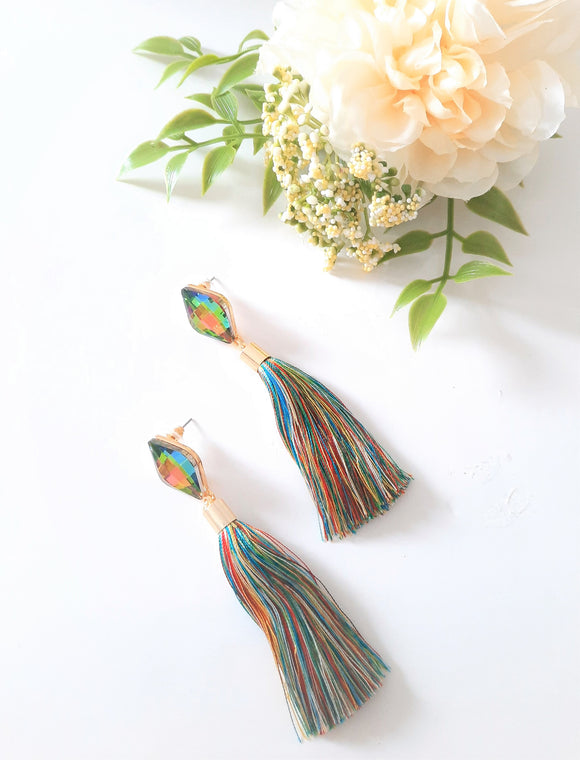 Multi-Colour Tassel Drop Earrings