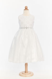 Lace and Tulle T- Length Dress