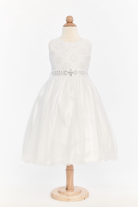 Lace and Tulle T- Length Dress