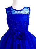 Floral Applique Mesh Bodice With Organza Skirt