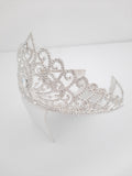 Rhinestone Swirl Tiara