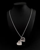 Heart Locket and Chain